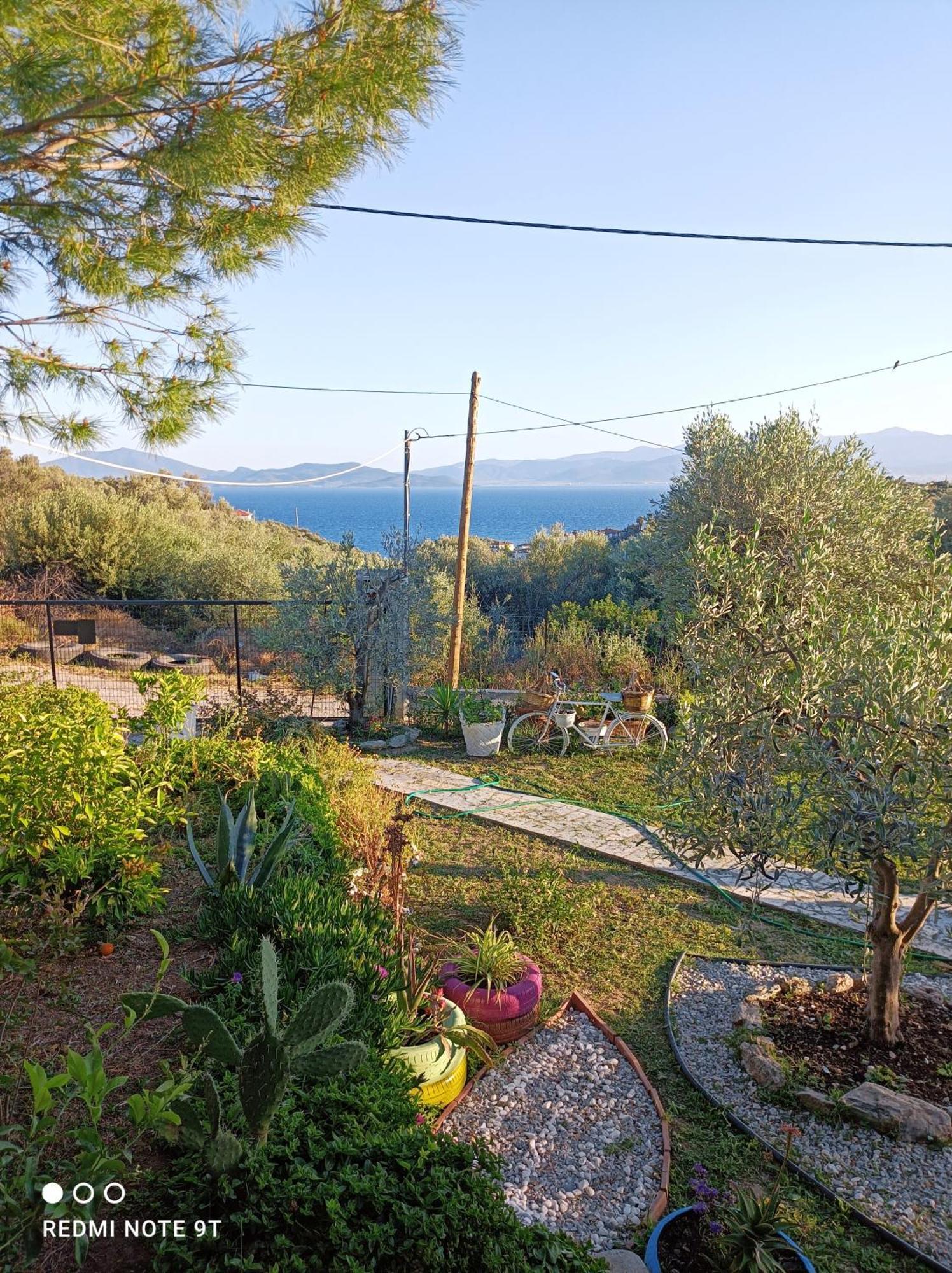 Marathos Hill Holiday home *